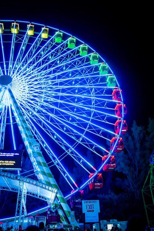 Scenic Miami Night Tour.jpg