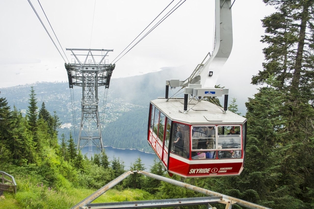 Vancouver Grouse Mountain Small Group Express + Skyride, Peak Chairlift, Lumberjacks & Wildlife Reserve 
