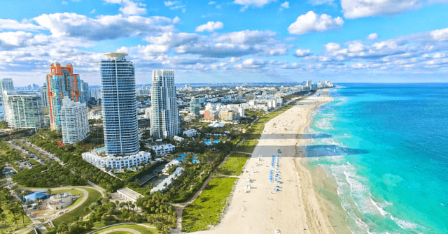 Diverse Activities to Do in Miami in 2024 - See Sight Tours