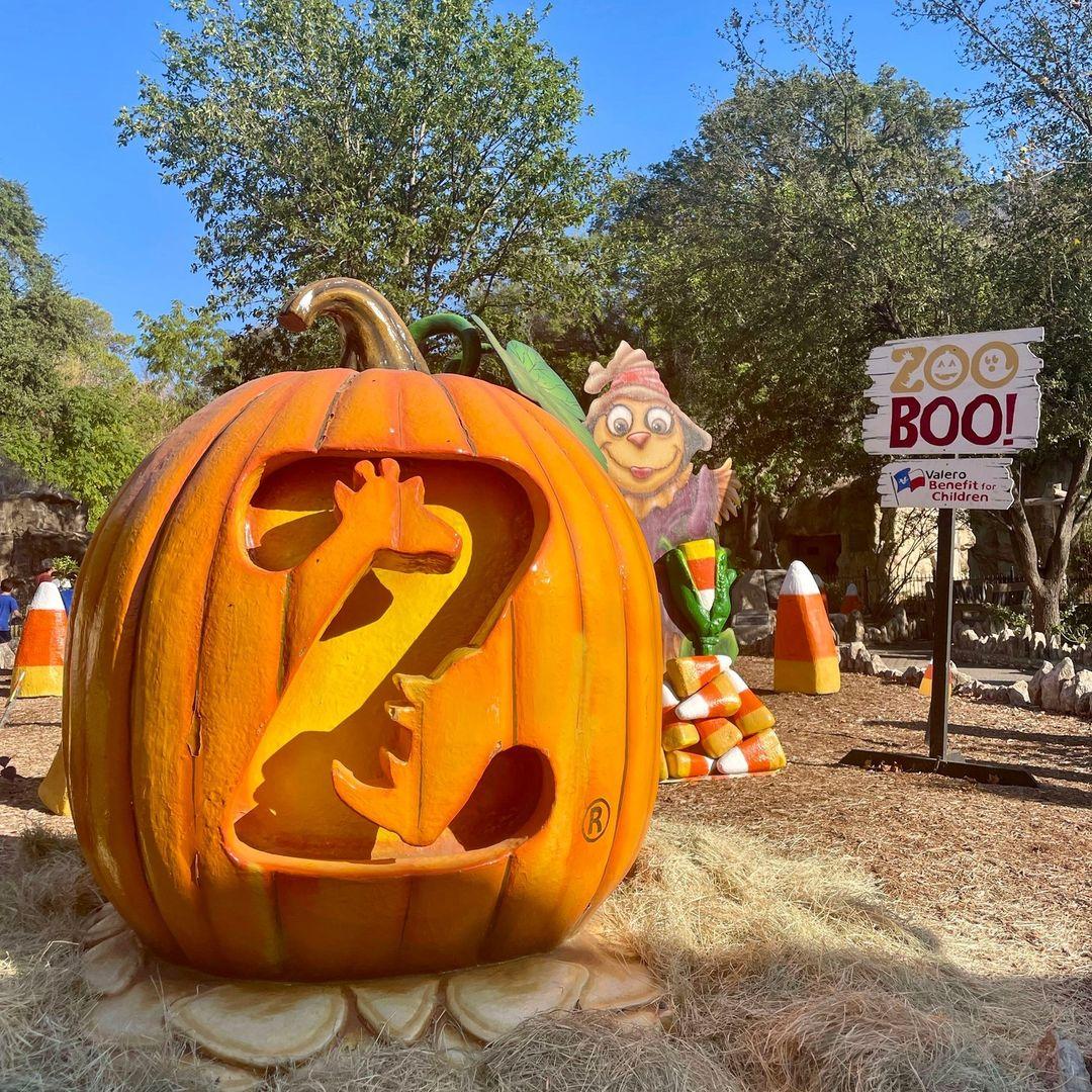 Zoo Boo at the San Antonio Zoo