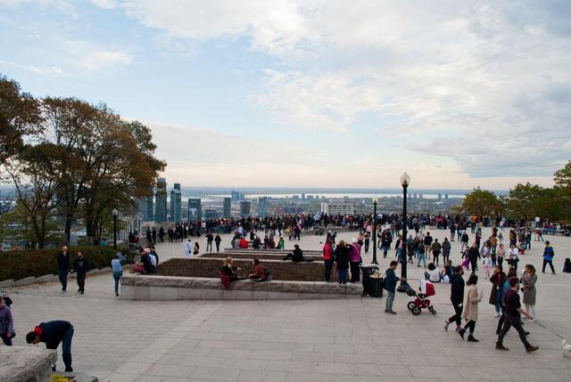 Things to Know Before Visiting the Montreal's Mount Royal Lookout - See Sight Tours