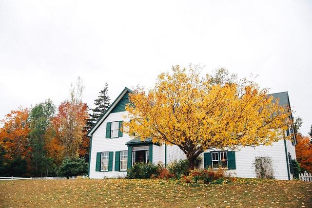 What are the best times of year to go on an Anne of Green Gables tour? - See Sight Tours