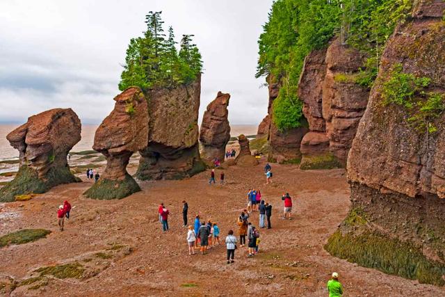 Everything To Know About the Hopewell Rocks Tides - See Sight Tours