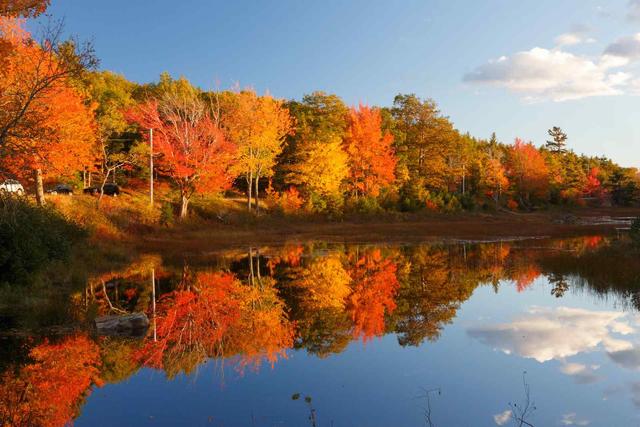 Best Time to Visit Acadia National Park - See Sight Tours