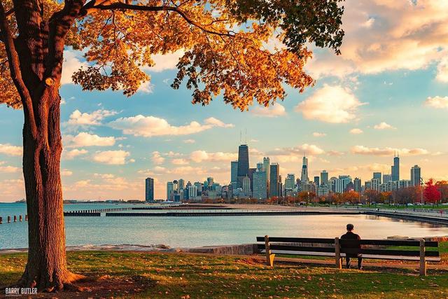 Visiting Chicago in November - See Sight Tours