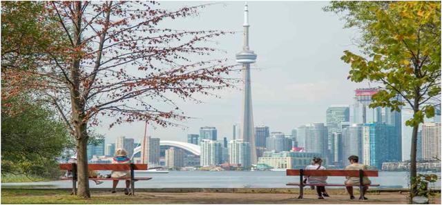  Visiting Toronto in January - See Sight Tours