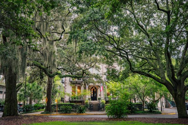 The Best Time to Visit Savannah - See Sight Tours