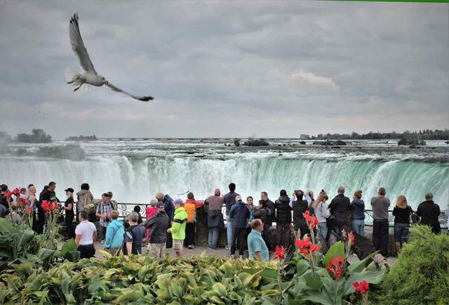 Niagara Falls Wildlife and Conservation Areas - See Sight Tours