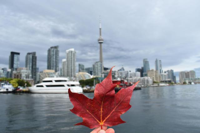 Visiting Toronto in March - See Sight Tours