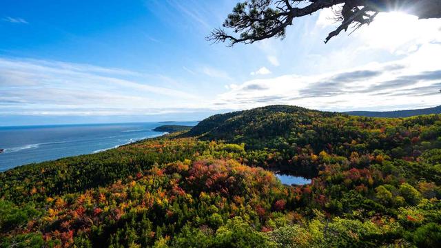 Things To Do In Bar Harbor This Weekend - See Sight Tours