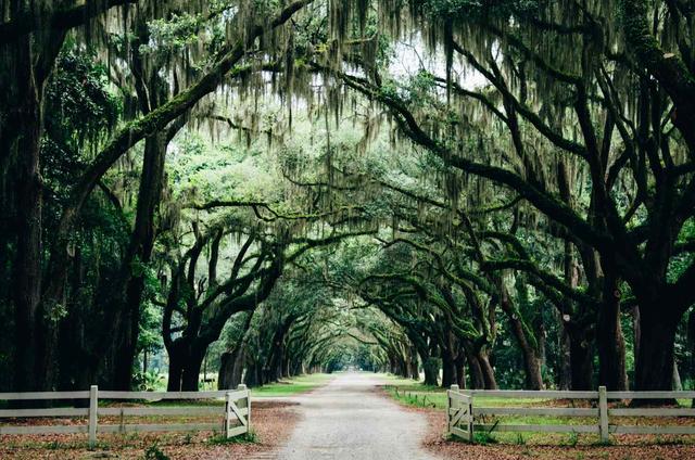 Non Touristy Things To Do In Savannah - See Sight Tours