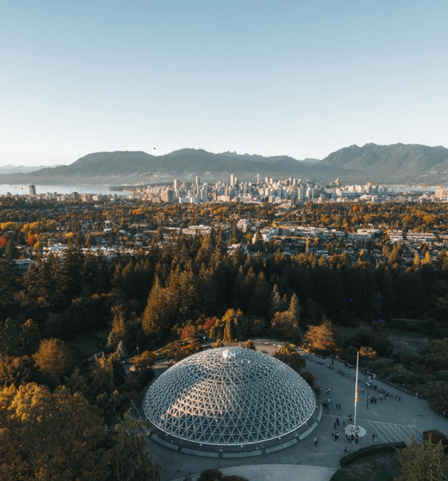 Non touristy things to do in Vancouver - See Sight Tours