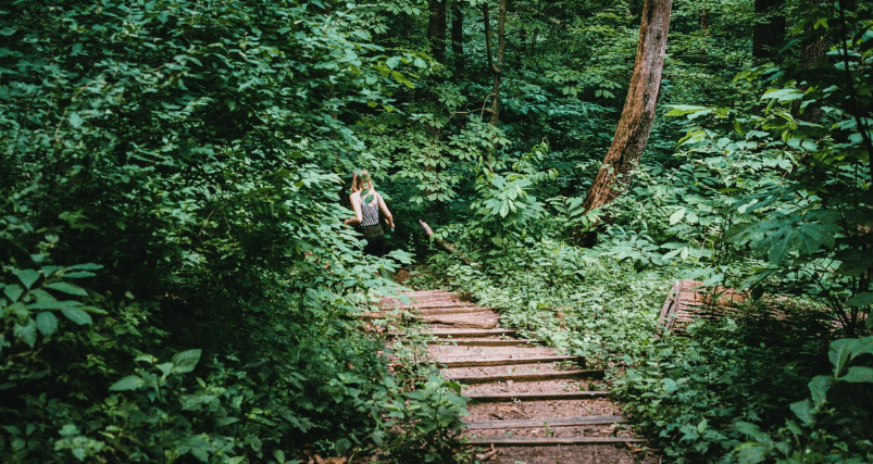 Cincinnati Highking Trail