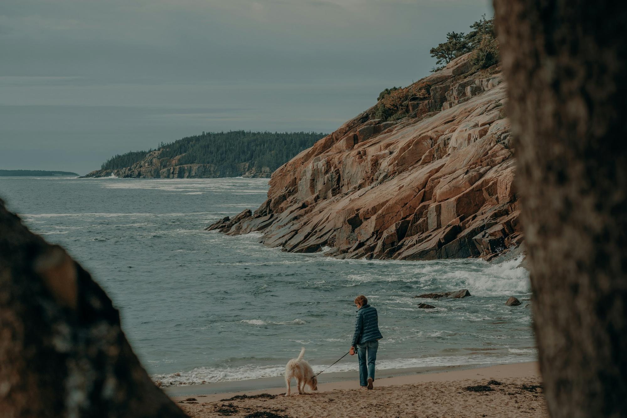 Visiting Bar Harbor in August.jpg