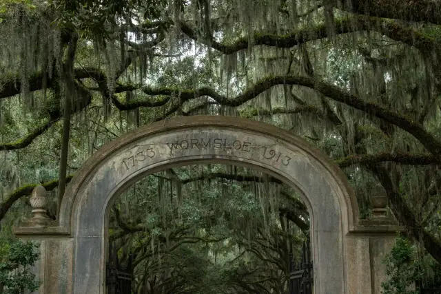 Visiting Savannah in September - See Sight Tours