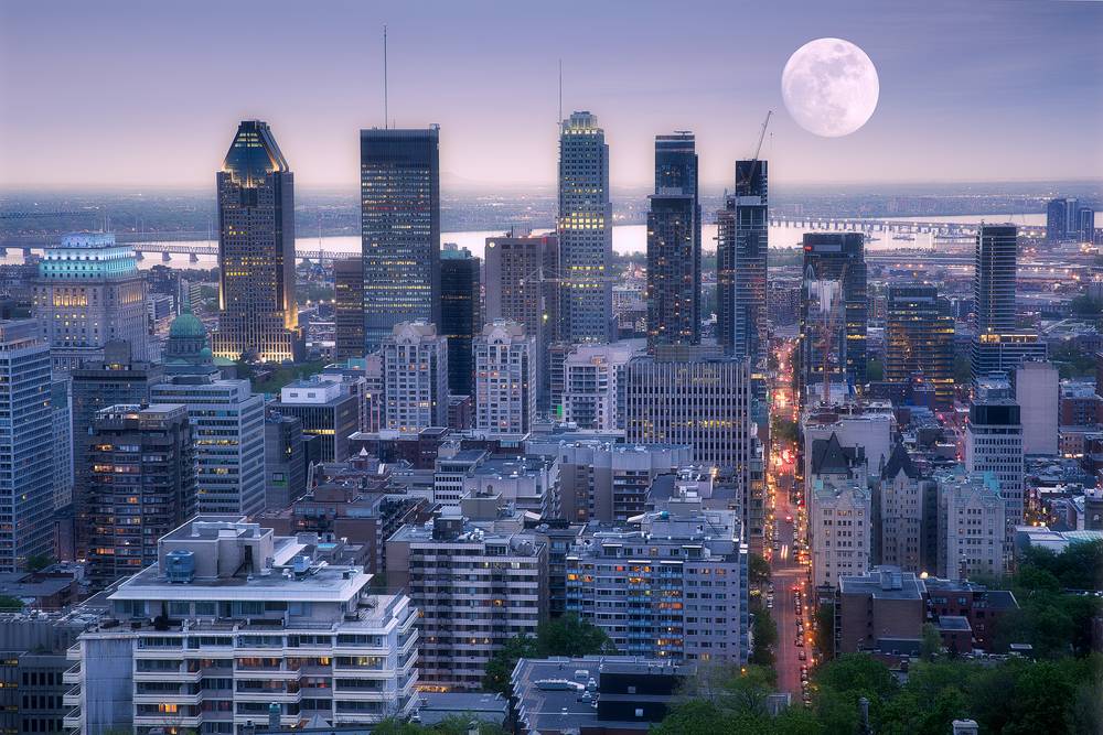 https://res.cloudinary.com/see-sight-tours/image/upload/v1581440072/Montreal-Skyline-Night.jpg