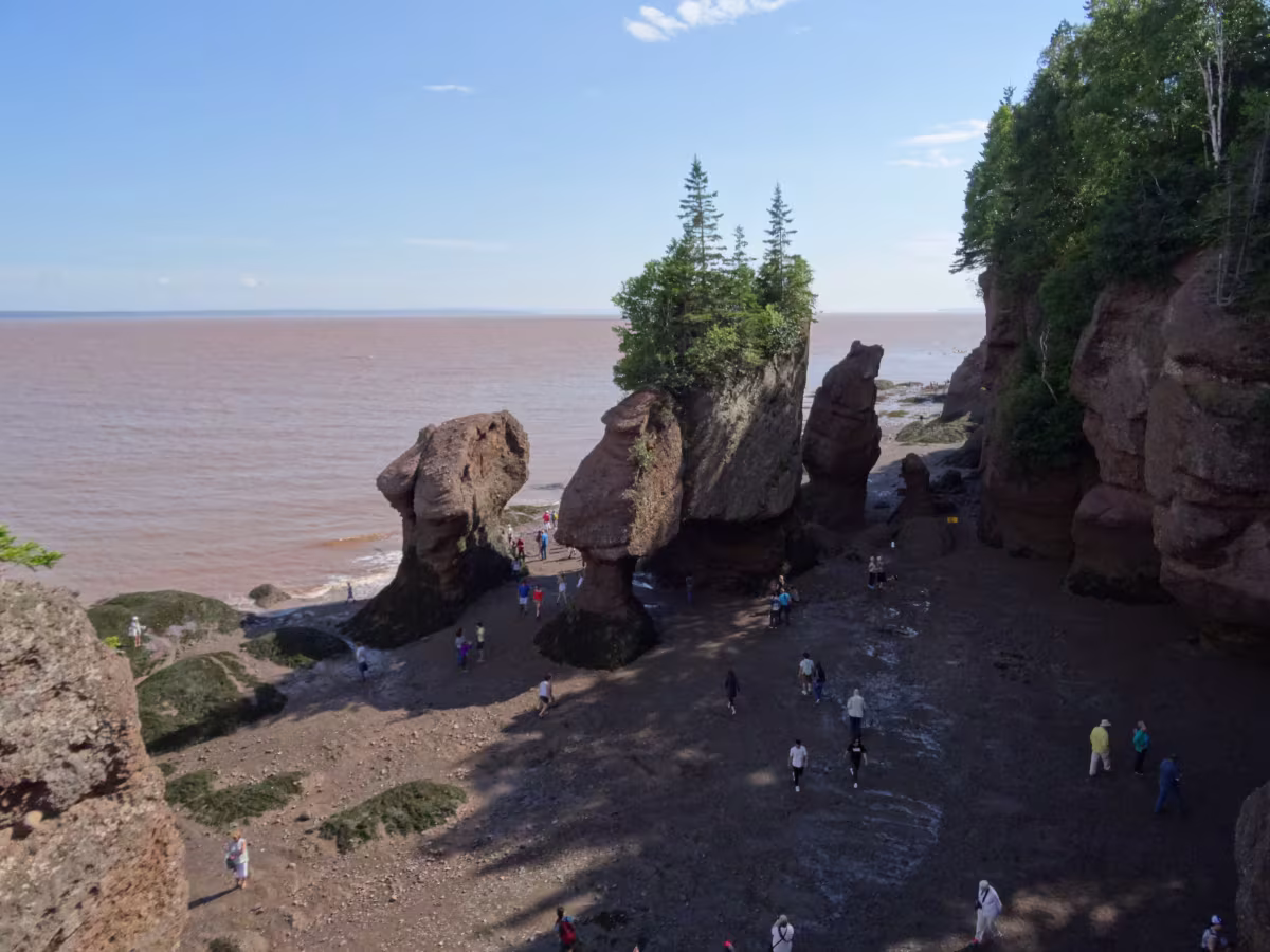 Hopewell Rocks