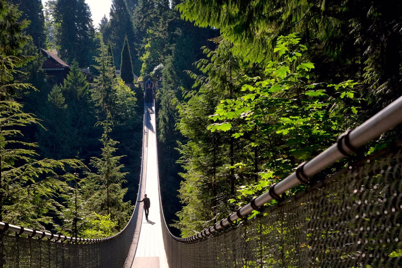 https://res.cloudinary.com/see-sight-tours/image/upload/v1581434218/Capilano-Suspension-Bridge-2.jpg