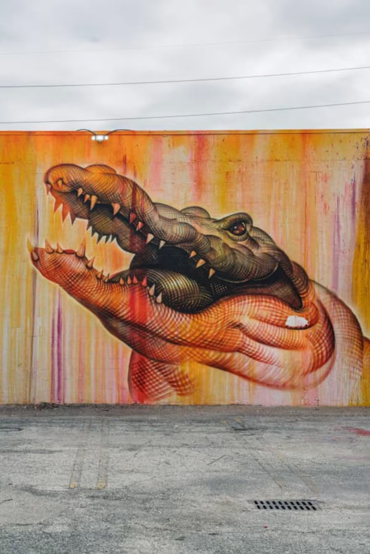 Wynwood Walls