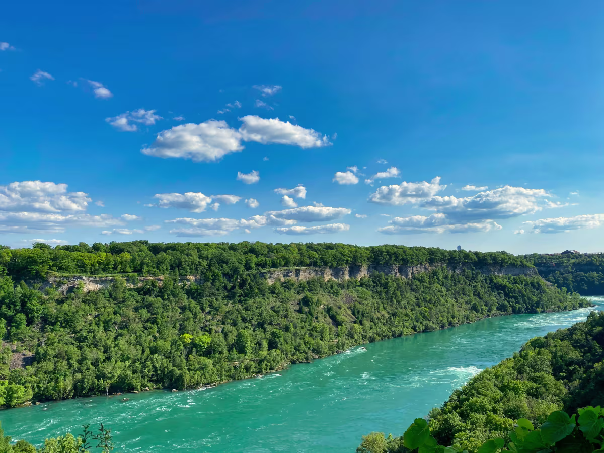 https://res.cloudinary.com/see-sight-tours/image/upload/v1787671337/strapi/Niagara_Glen_462ef5309c.jpg