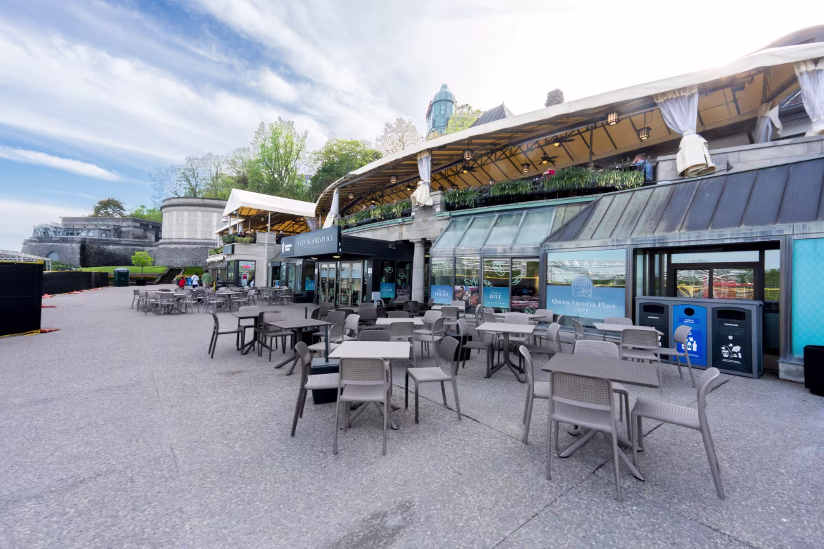 https://res.cloudinary.com/see-sight-tours/image/upload/v1787853731/strapi/NF_CA_QVP_c2a5d4ca76.jpg